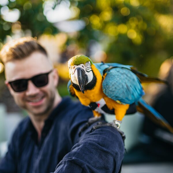 Soko_Saturday_#-6 Soko_Saturday_#-6