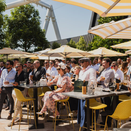 Soko Melbourne Cup -48