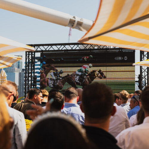 Soko Melbourne Cup -54